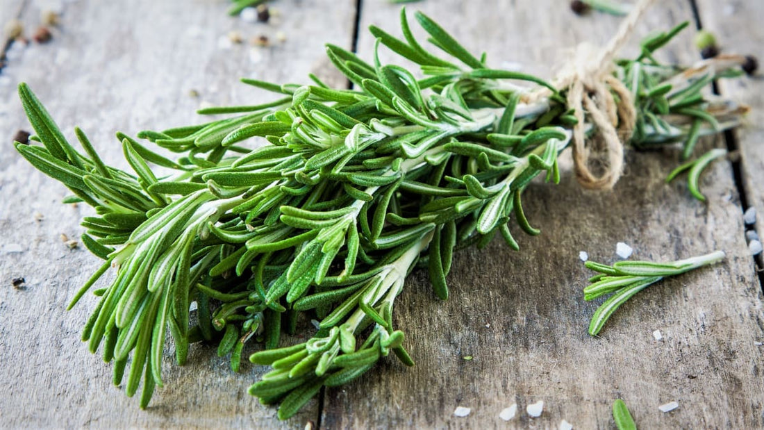 Rozmarýn: Aromatická bylina, která promění každé jídlo v zážitek
