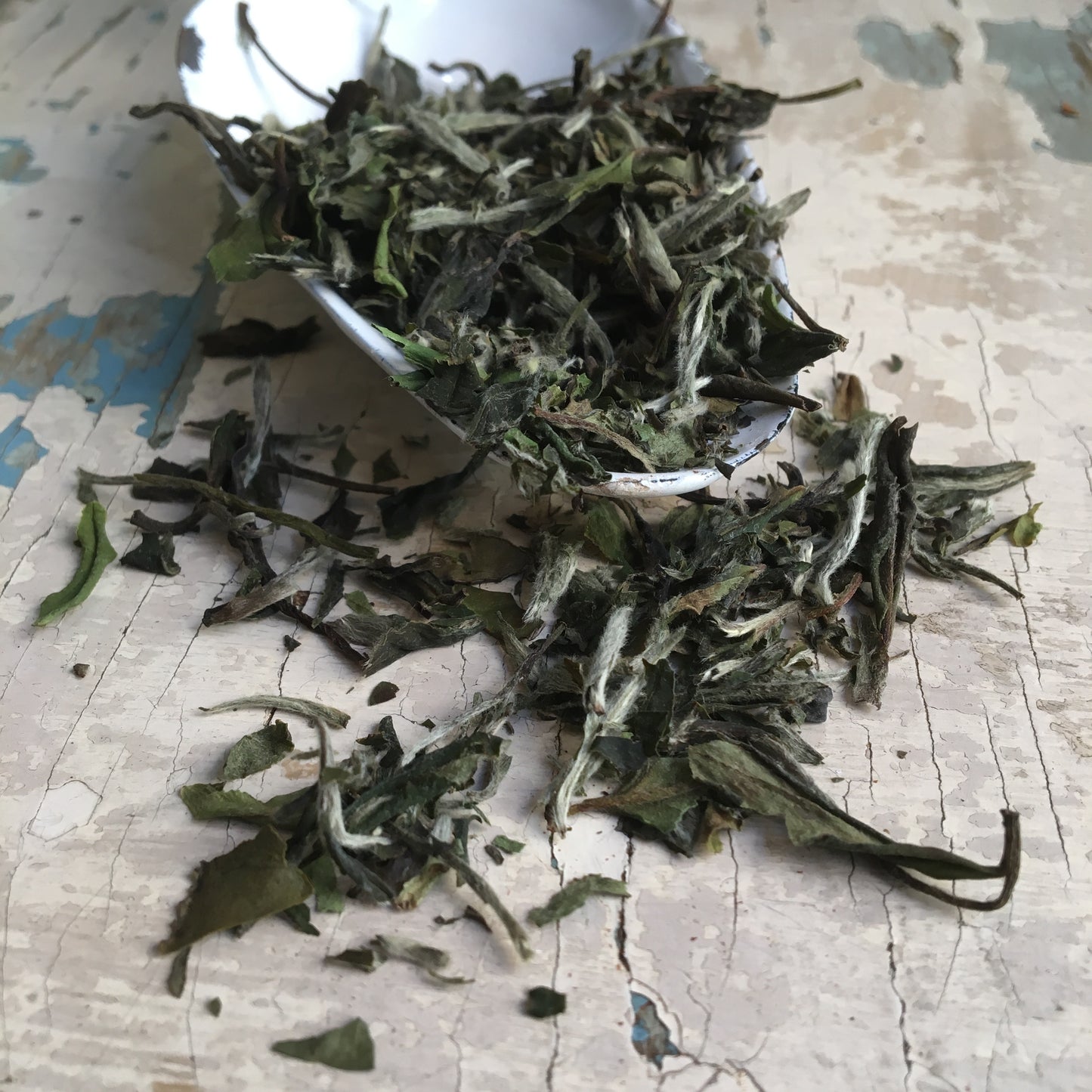 Pai Mu Tan bílý čaj - 50g