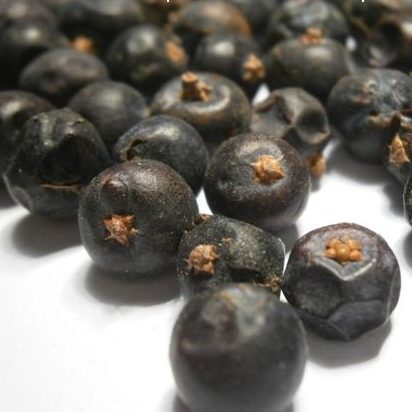 Jalovcové bobule (Itálie) - 30 g