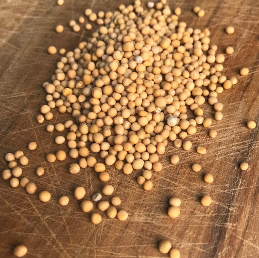 Žlutá hořčičná semínka (Asie, Evropa) - 30 g